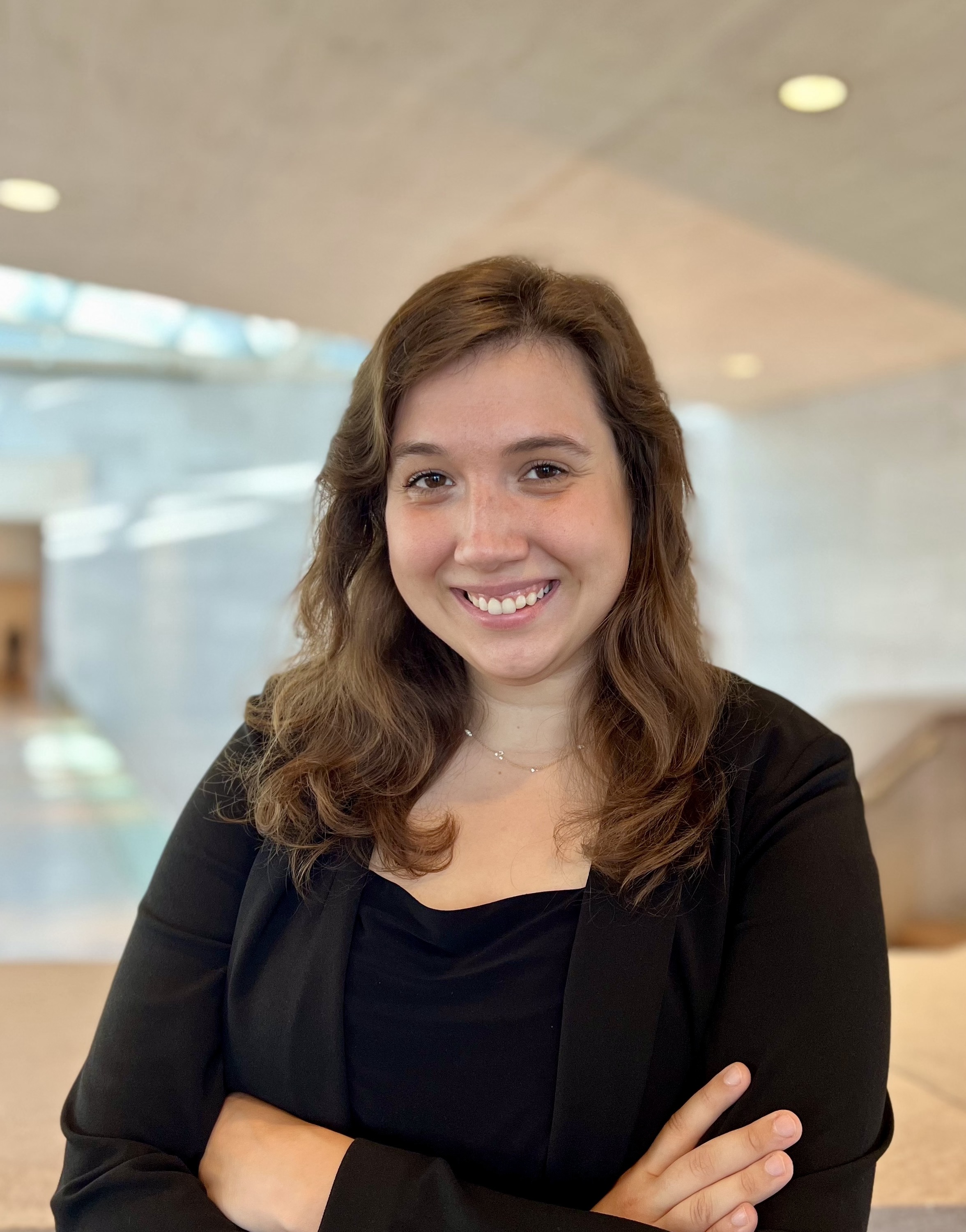 This text appears when someone is browsing using assistive technologies.